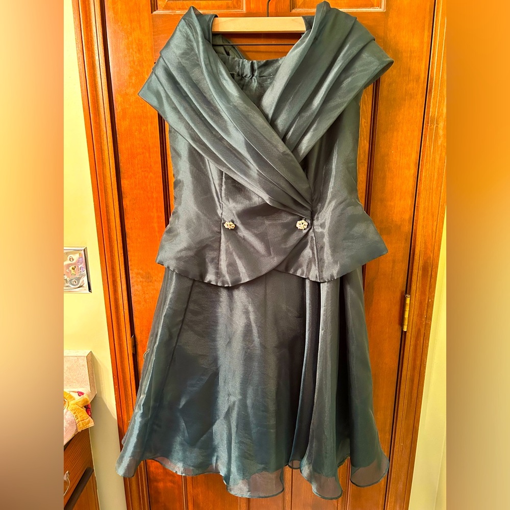 WATTERS AND WATTERS VTG Beautiful Mother of the Bride Dress. Size 18. Rare find